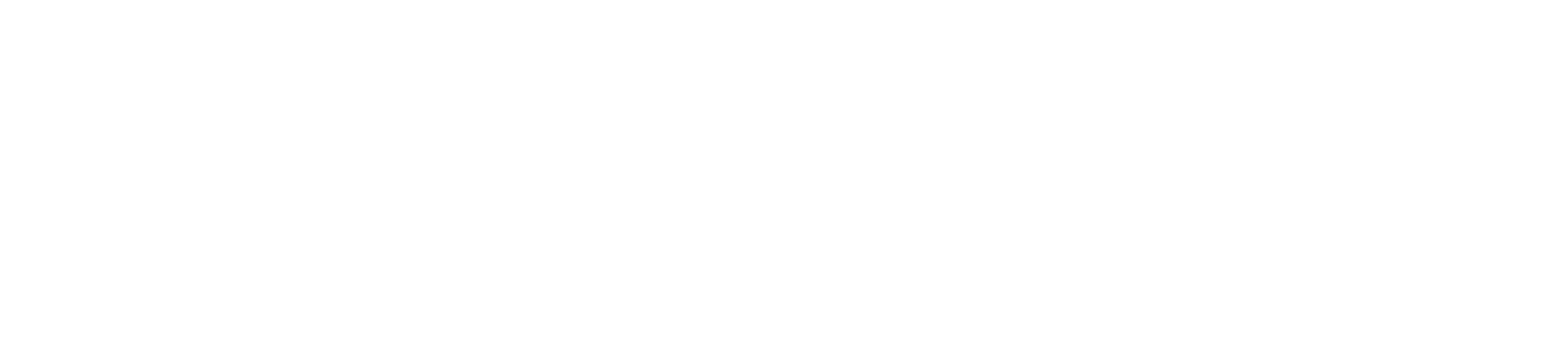 logo-light